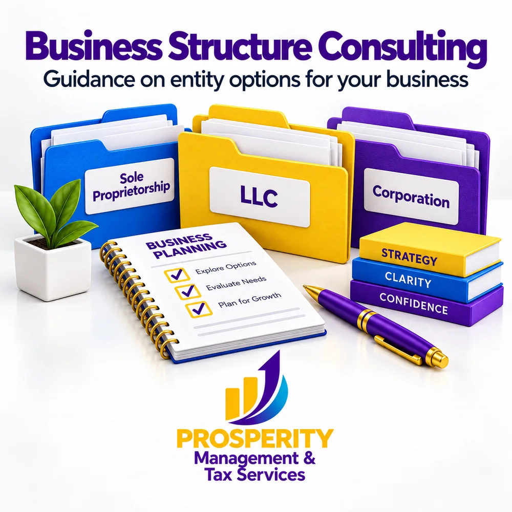 Business Structure Consulting — guidance on entity options for your business